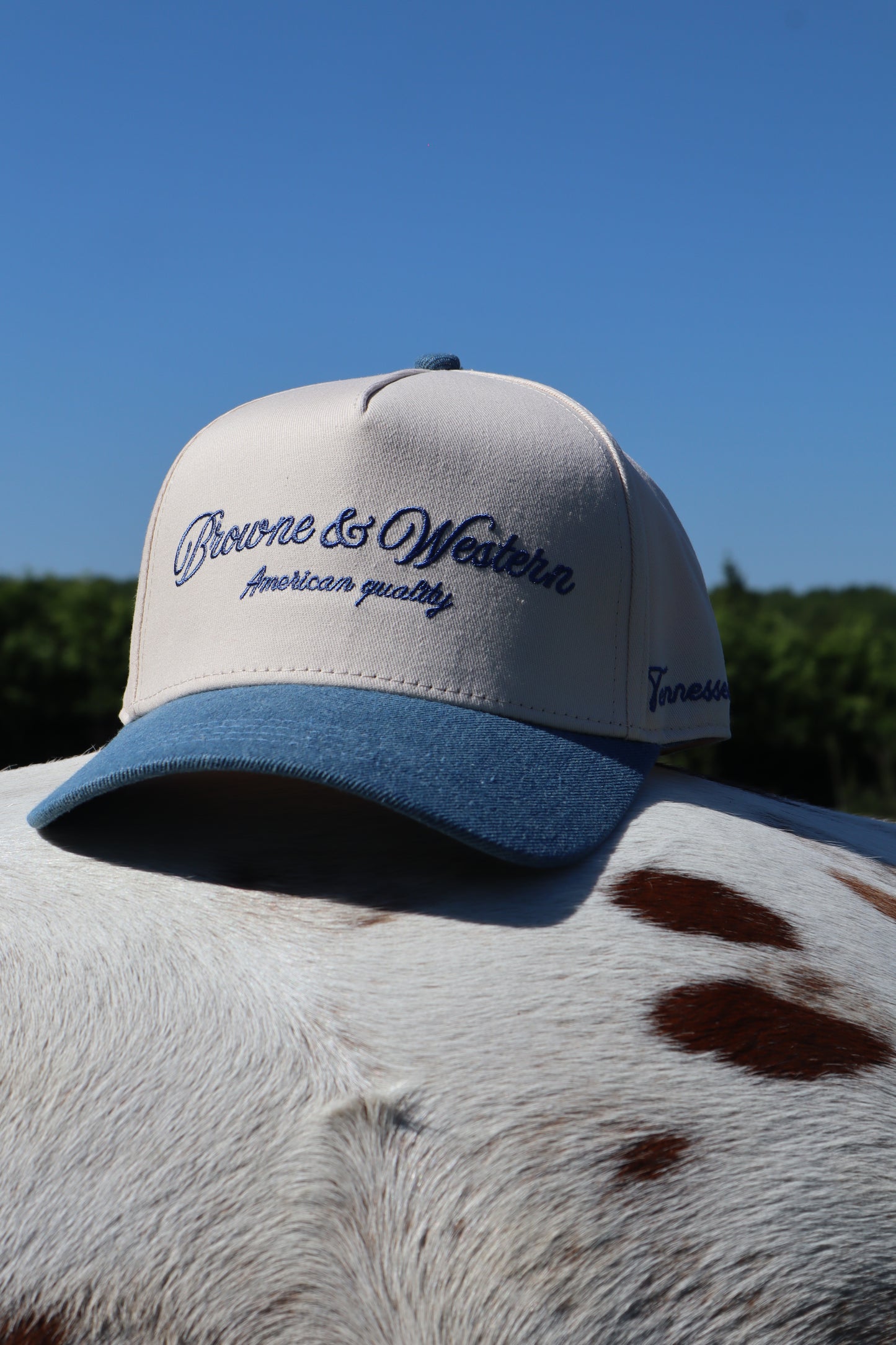 The Tennessee State Cap