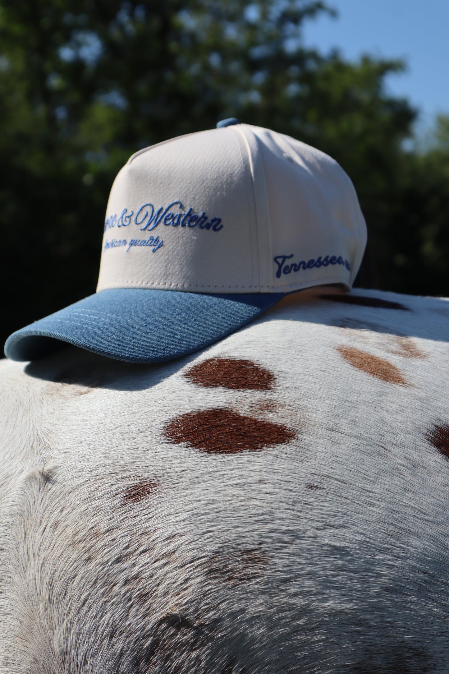 The Tennessee State Cap